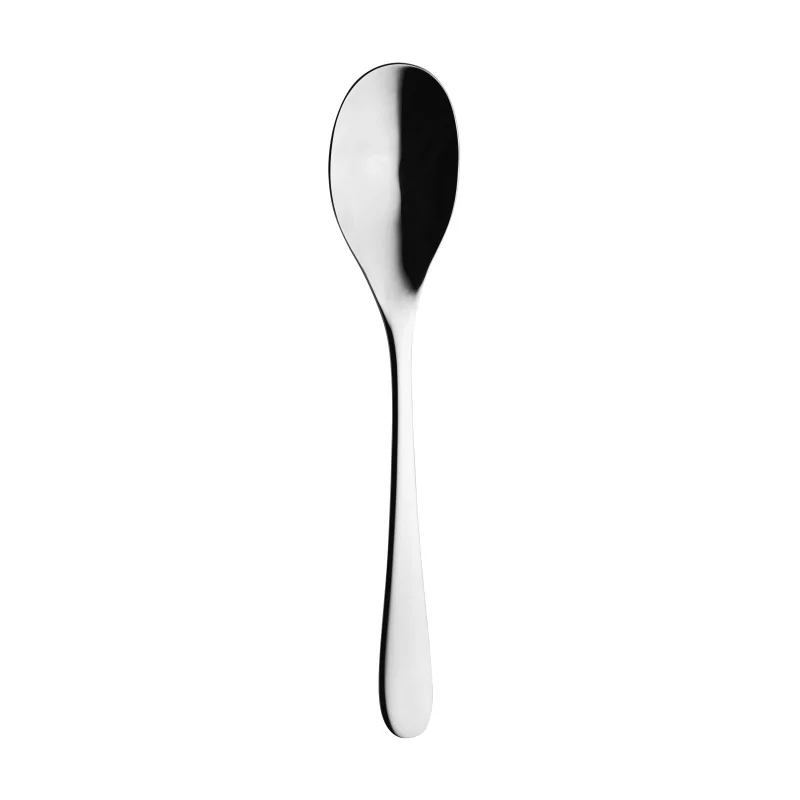 Degrenne Aquatic Stainless Steel Serving Spoon 266 mm - 10 ''1/2 - Pack of 1