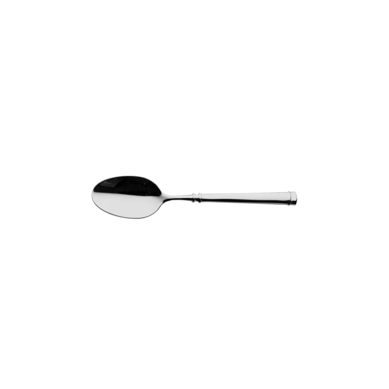 Degrenne Absolu Stainless Steel Table Spoon 205 mm - 8 ''1/16 - Pack of 12