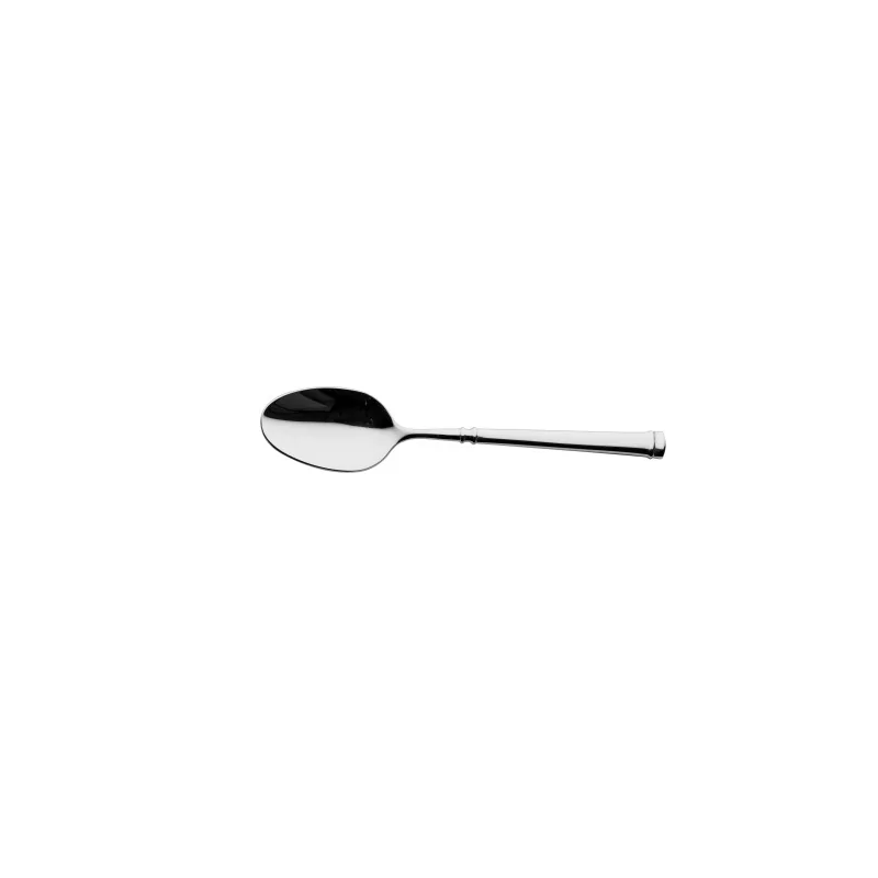 Degrenne Absolu Stainless Steel Dessert Spoon 180 mm - 7 ''1/16 - Pack of 12