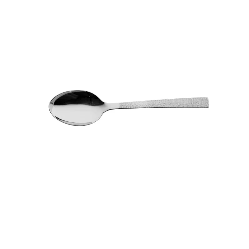 Degrenne Astree Cisele Stainless Steel Serving Spoon 255 mm - 10 ''1/16 - Pack of 1