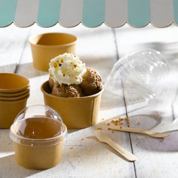 Eco-Friendly Ice Cream and Soup Bowls